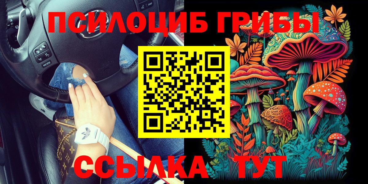 Ишим  Псилоцибиновые грибы Psilocybe  Вход с VPN  Псилоцибиновые грибы Cubensis 